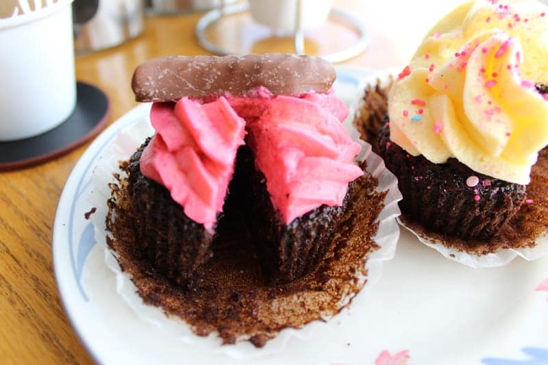 Chocolate Fish Cupcakes with Raspberry Frosting (Gluten Free)