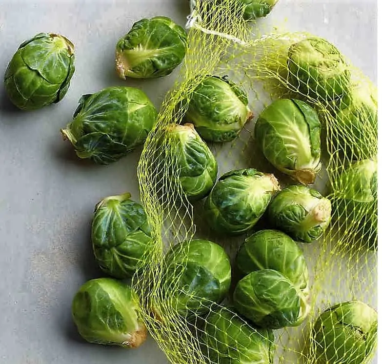 Brussels Sprout