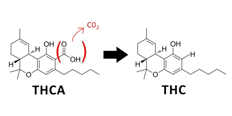 The Role Of Decarboxylation Machines In Infusion Technology - Appetizer ...